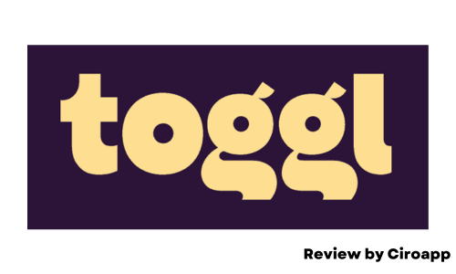 Toggl review